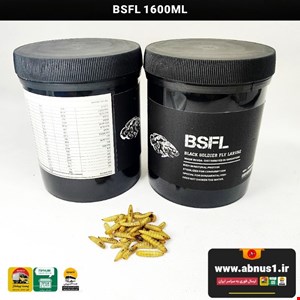 غذا ارگانیک لارو مگس سرباز BSFL حجم 1600 میل