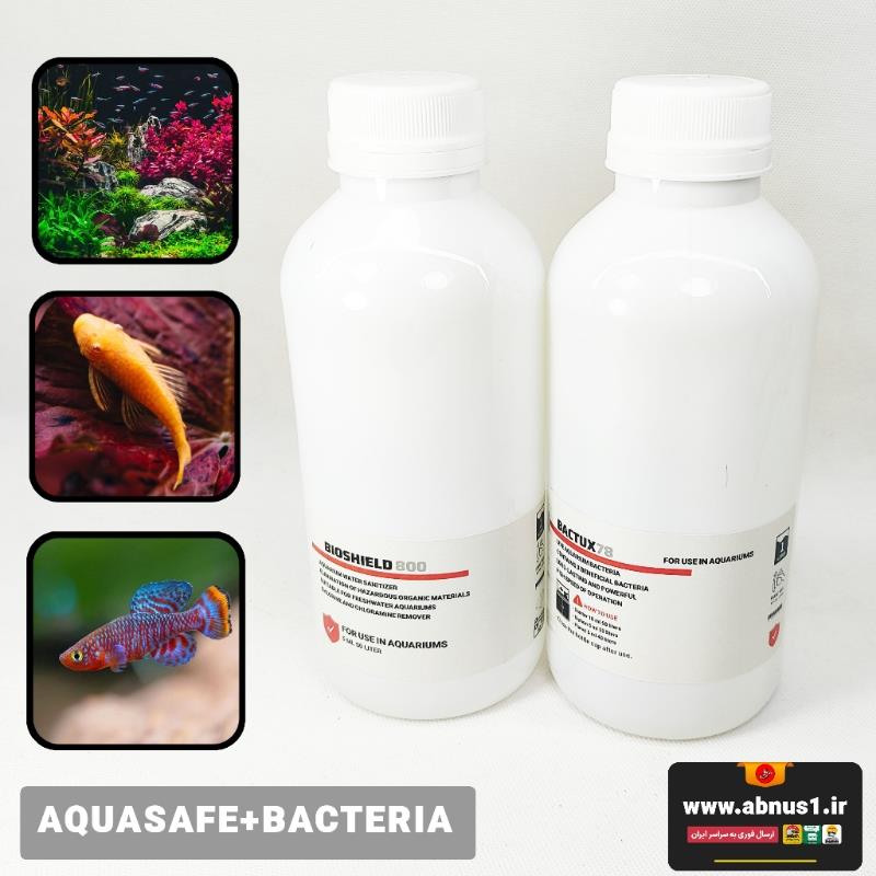 BACUX+SHIELD 2 LITER POST FREE AMM