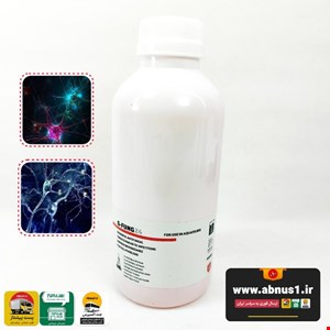 ضدانگل و قارچ G-FUNG24 حجم 1 لیتری