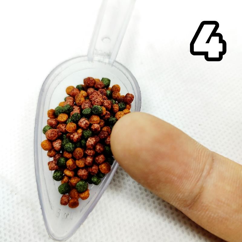 غذا ماهی آکواریوم