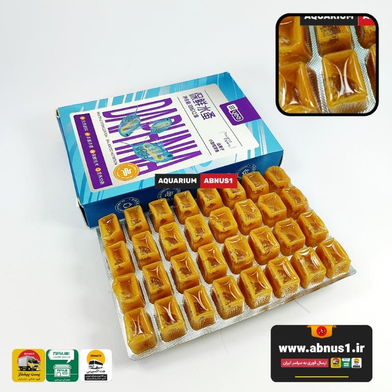 YEE DAPGHNIA 64 PC YEE DAPGHNIA 64 PC