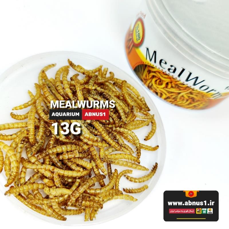 غذا ماهی آکواریوم کنسرو میل ورم 13G خوراکسازان