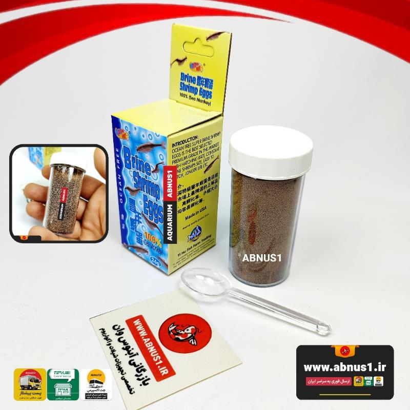 OCEANFREE USA ARTEMIA26G 46941207432TNN