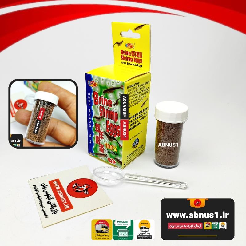 OCEAN FREE USA ARTEMIA9G 97121207535TNN