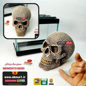 مجسمه ممنتو موری سنبل مرگ و زندگی استخوانی