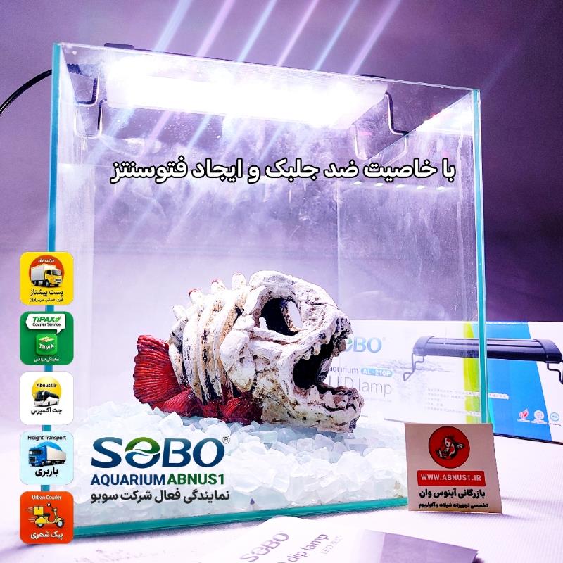 نور سوبو