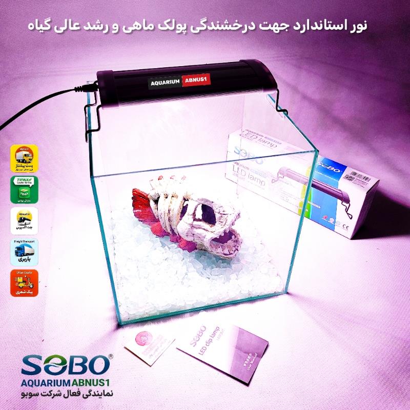 نور سوبو