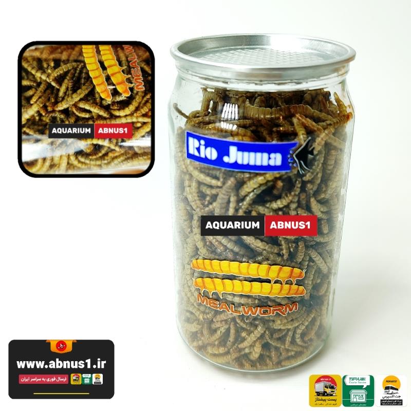 MEYWORM STANDARD A544551213484tnn