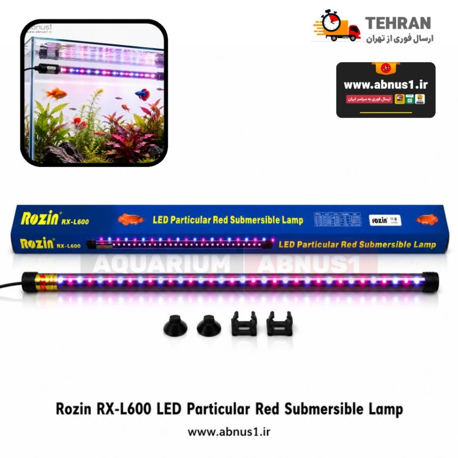 RX-L600 ROXIN MSS5486555