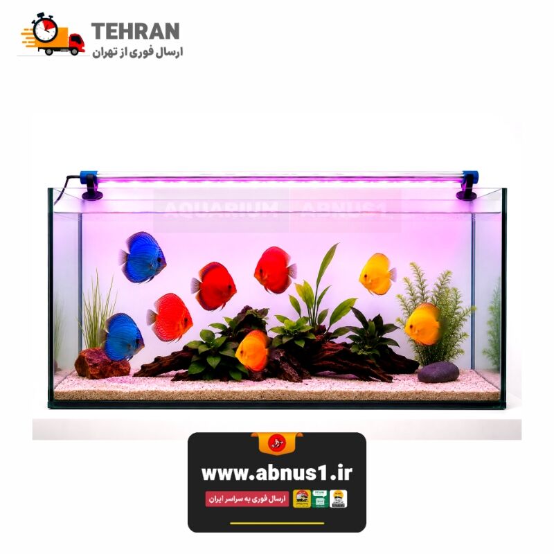 نور آکواریوم RS-M100 PRO یک چراغ تخصصی ضد آب و قابل نصب داخل آب است که رنگ ماهی‌ها را بسیار درخشان‌تر، شفاف‌تر و حرفه‌ای‌تر نشان می‌دهد.این نور نمایشی ویژه آکواریوم، انتخابی عالی برای تانک‌های مسابقه‌ای، شو روم‌ها و علاقه‌مندان به جلوه خاص بدون ایجاد جلبک مزاحم است.