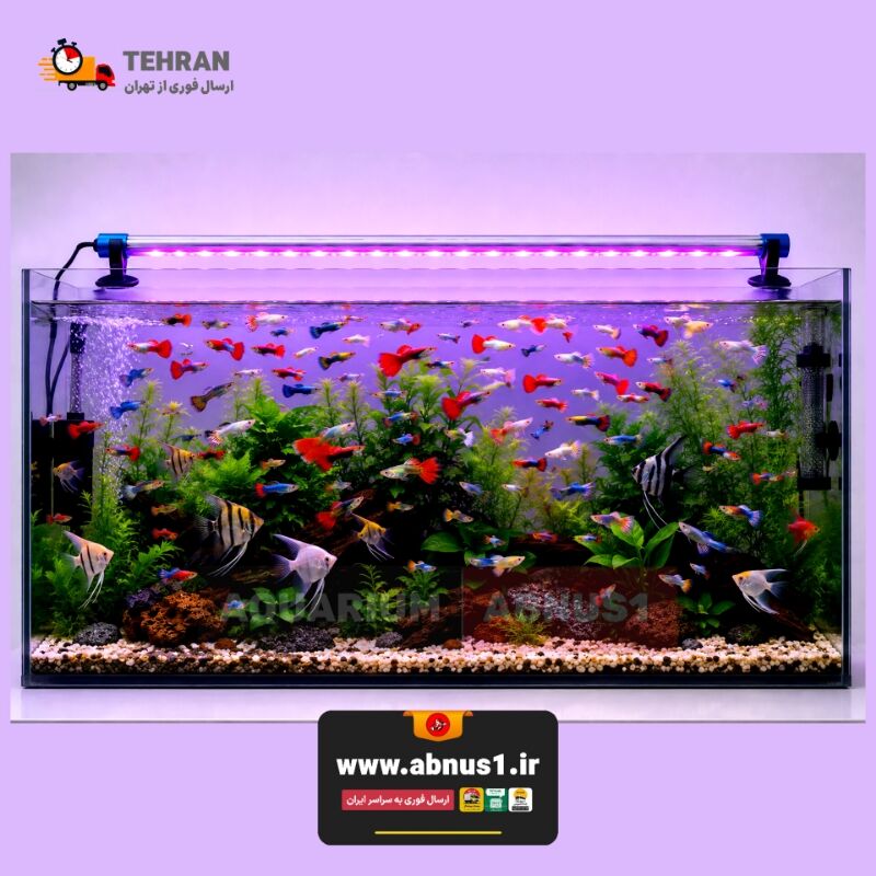 نور آکواریوم RS-M100 PRO یک چراغ تخصصی ضد آب و قابل نصب داخل آب است که رنگ ماهی‌ها را بسیار درخشان‌تر، شفاف‌تر و حرفه‌ای‌تر نشان می‌دهد.این نور نمایشی ویژه آکواریوم، انتخابی عالی برای تانک‌های مسابقه‌ای، شو روم‌ها و علاقه‌مندان به جلوه خاص بدون ایجاد جلبک مزاحم است.