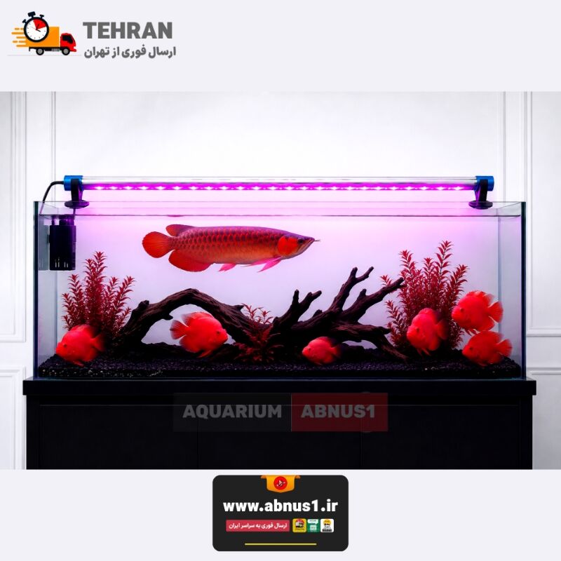 نور آکواریوم RS-M100 PRO یک چراغ تخصصی ضد آب و قابل نصب داخل آب است که رنگ ماهی‌ها را بسیار درخشان‌تر، شفاف‌تر و حرفه‌ای‌تر نشان می‌دهد.این نور نمایشی ویژه آکواریوم، انتخابی عالی برای تانک‌های مسابقه‌ای، شو روم‌ها و علاقه‌مندان به جلوه خاص بدون ایجاد جلبک مزاحم است.