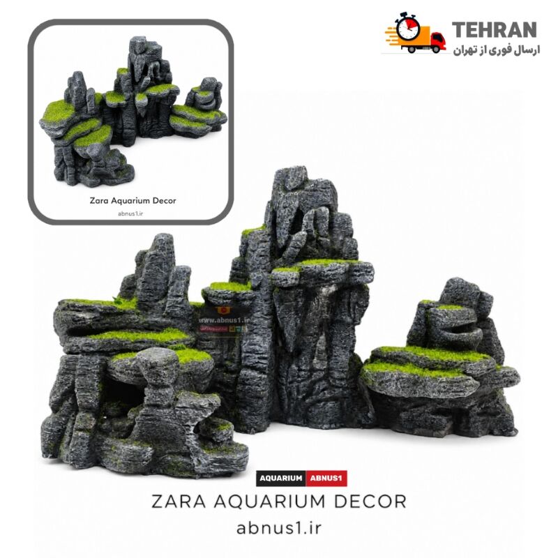 ZARA NBPSSS-20