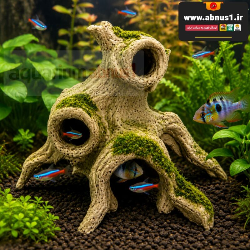 خرید دکور تنه درخت زنبوری حفره دار زارا (Zara Aquarium Root Cave) سایز ۱۶×۱۶ سانتی‌متر؛ غار و مخفیگاه رزینی خزه دار با متریال کاملاً خنثی، بدون تغییر در کیفیت و شیمی آب، ایده‌آل برای آکواریوم، پلنت و تراریوم.