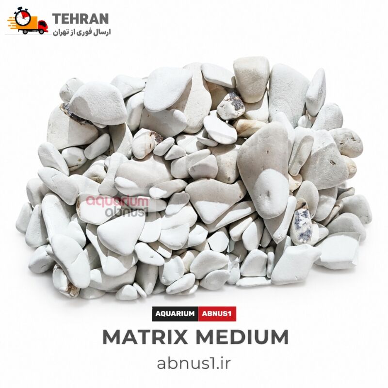 MATNN12411150464455