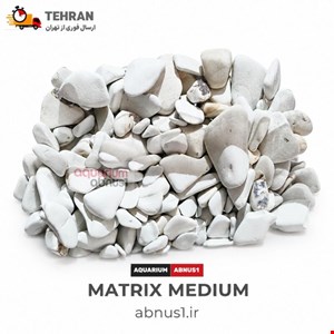 مدیا آکواریوم ماتریکس ABNUS فله سایز متوسط وزن 250 گرم