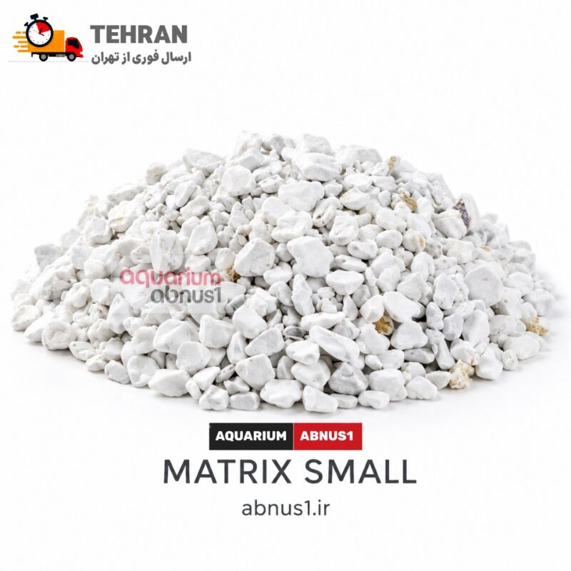MATNN12411150464455