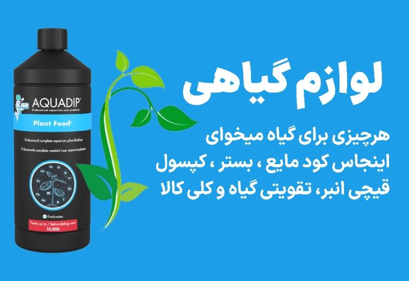 بخش گیاهی پلنت