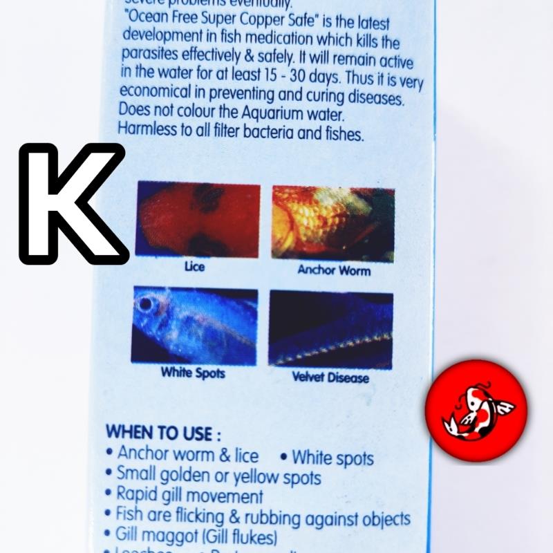 k ocean free