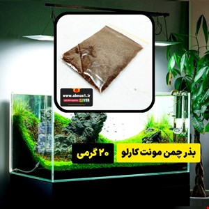 بذر چمن آکواریوم و تنگ مونت کارلو 20 گرمی برای 4 متر