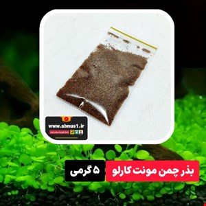 بذر چمن آکواریوم و تنگ مونت کارلو 5 گرمی برای 1 متر