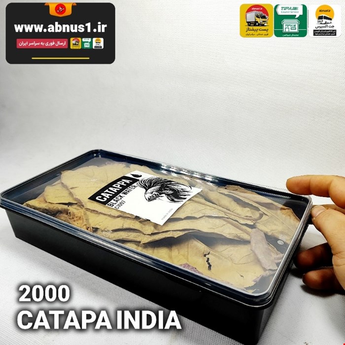 برگ کاتاپا 2000 میل ( بسته بزرگ )