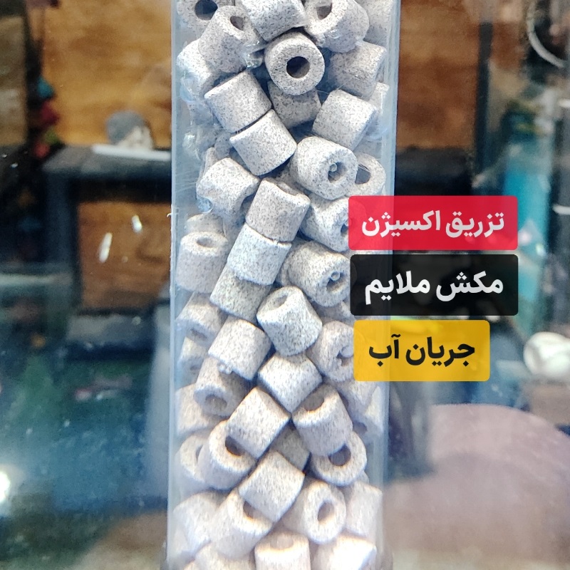 بوسترABNUS1