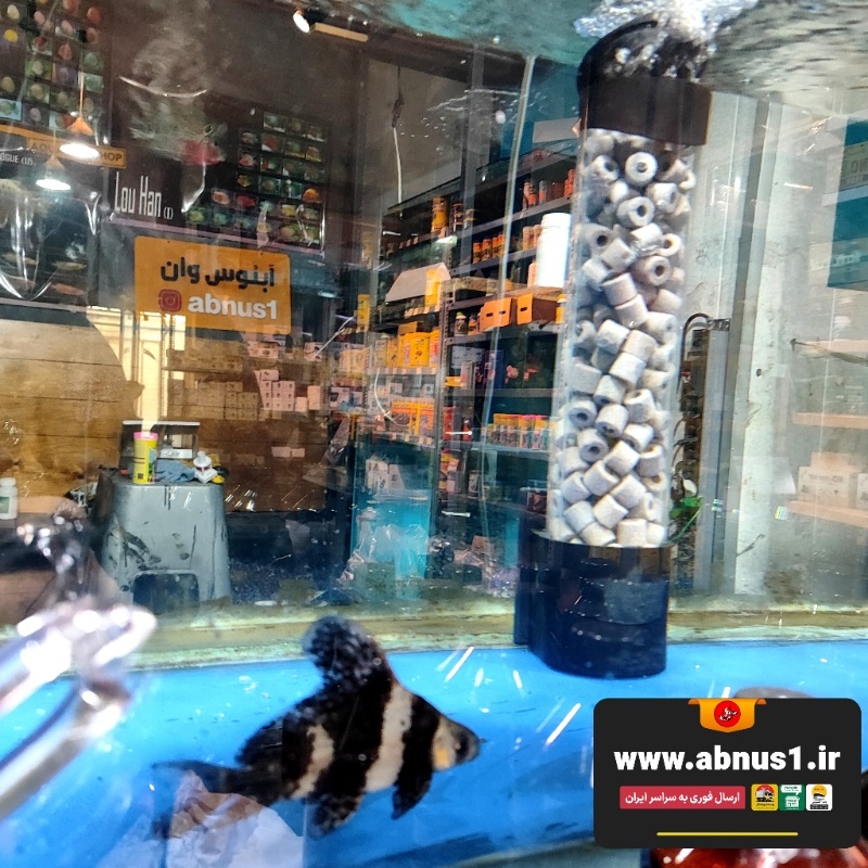 بوستر مدیا آکواریوم آبنوس وان