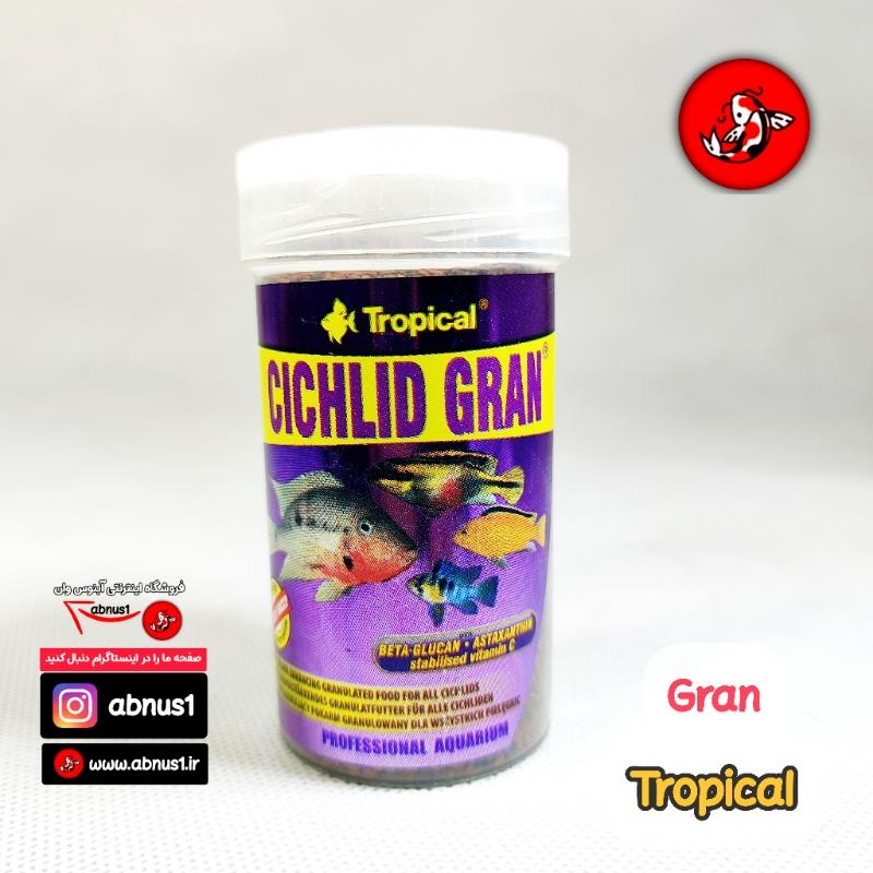 Tropical shop cichlid gran
