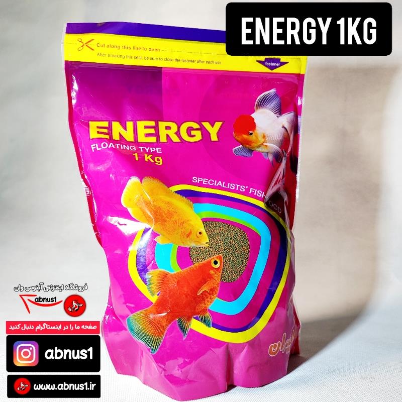 انرژی 1000 گرم SNN