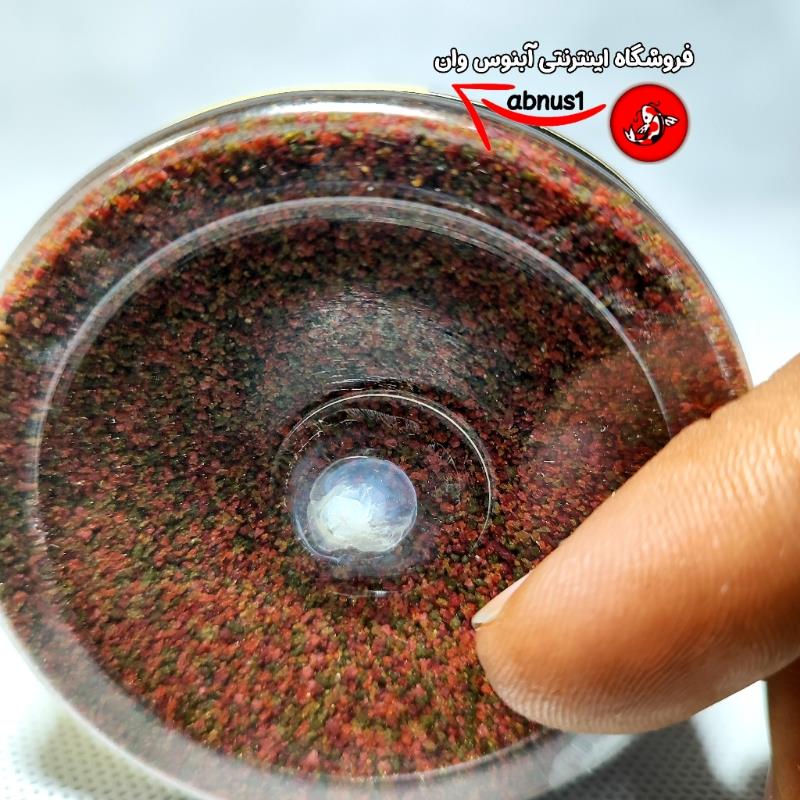 میکرو