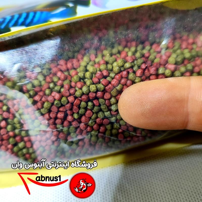 سیچلاید لارج 