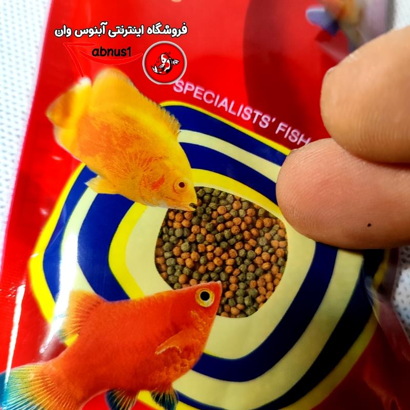 فایتر