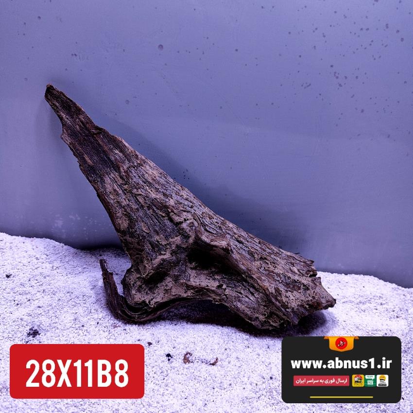 B8 OF