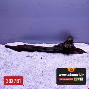 چوب آبنوس 39 سانت کد B1