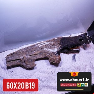 چوب آبنوس 60 سانت کد B19