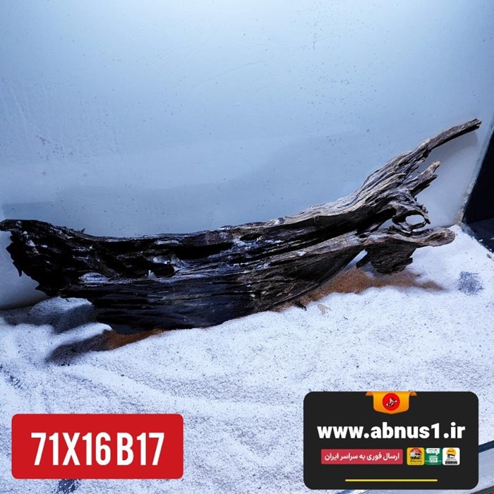 چوب آبنوس 71 سانت کد B17