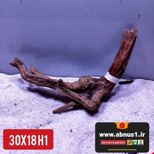 ریشه آبنوس 30 سانت کد H1 