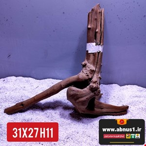 ریشه آبنوس 31 سانت کد H11 