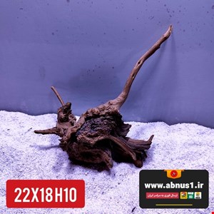 ریشه آبنوس 22 سانت کد H10 