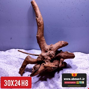 ریشه آبنوس 30 سانت کد H8 