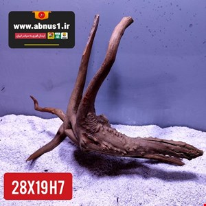 ریشه آبنوس 28 سانت کد H7