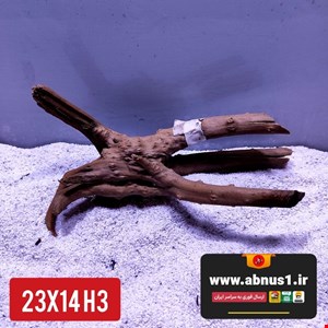 ریشه آبنوس 23 سانت کد H4 