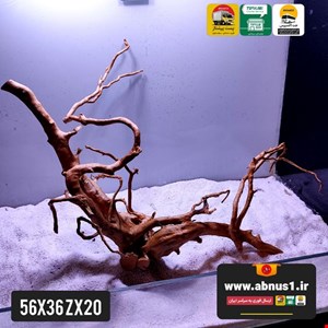 ریشه آبنوس 56 سانت کد ZX20