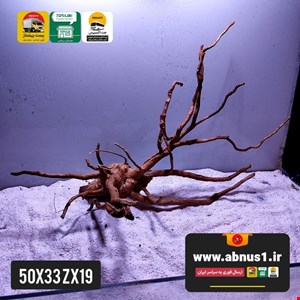 ریشه آبنوس 50 سانت کد zx19