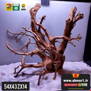 ریشه آبنوس 54 سانت کد zx14