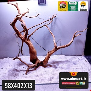 ریشه آبنوس 58 سانت کد zx13