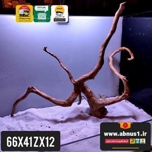 ریشه آبنوس 66 سانت کد zx12