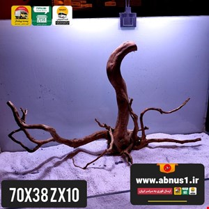 ریشه آبنوس 70 سانت کد zx11