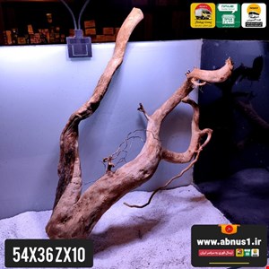 ریشه آبنوس 54 سانت کد zx10